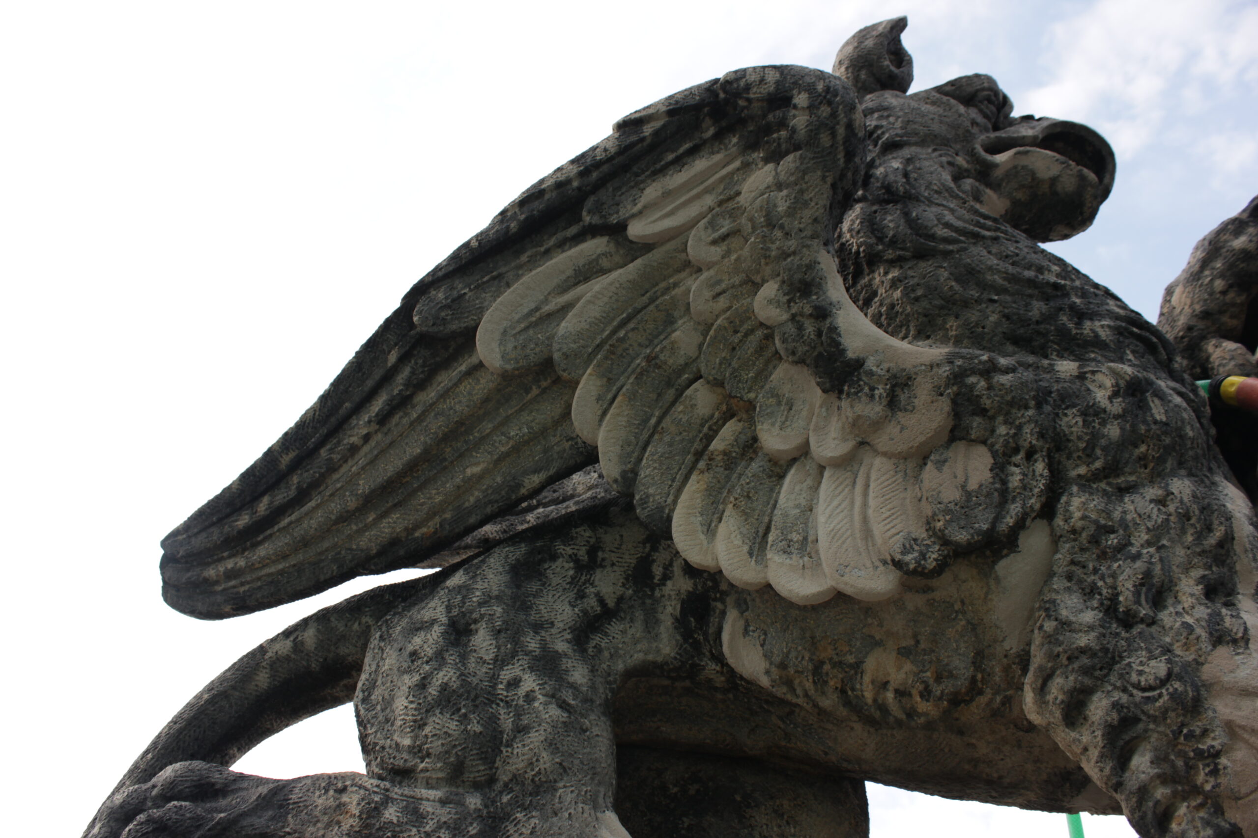 Restaurování Gryfů ze sochařské výzdoby budovy školy v Ječné ulici.