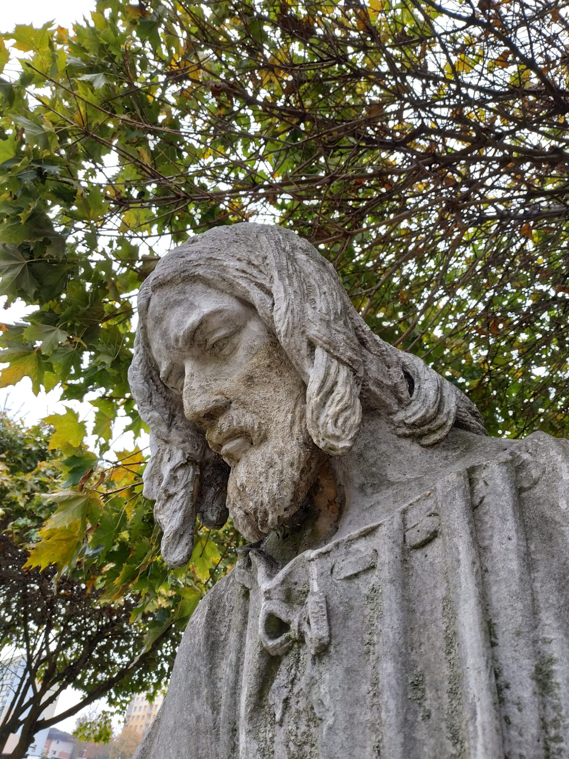 Hlava Krista z Police nad Metují